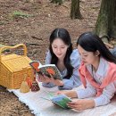 무등산증심사지구협동조합 | [광주/축제]2026년 6월 동구 무등산인문축제 무등생각 2026 주차 맛집 숙소까지 한 번에 정리