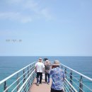 솔나무집 콘도 | 경북 울진 가볼만한곳 왕피천케이블카 망양정 망양휴게소 등