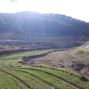 남해-255 이미지