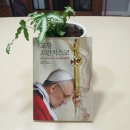 새시대 | 신앙과 전통의 무류성 &lt;교황 프란치스코: 새 시대의 응답자&gt; 내용과 후기