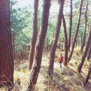 오안초 삼마치분교장 | 강원 / 홍천 / [코스가이드 | 봉화산] 봉화 올렸던 산이라 사방 조망도 뛰어나