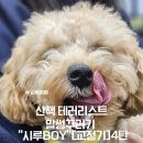 시루하