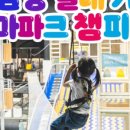 스타필드마켓 죽전점 챔피언더블랙벨트 이미지