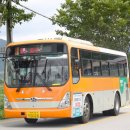 임실 임순여객 30번(임실 - 오수 - 순창(한암, 산서, 죽계, 광제)) 5028호 - 16y 그린시티 CNG