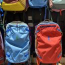 (주)강남셀바이오뱅크 | 캐나다 워홀 프롤로그