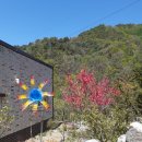 응봉농장 이미지