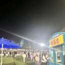 2024.평택대 벚꽃축제 후기