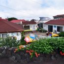 사랑이 꽃피는 민박 이미지