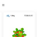 포레스텝