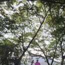 상리공원 이미지