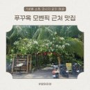 푸꾸옥 모벤픽 근처 맛집! 가든카페 쌀국수 &amp; 민트마켓 후기
