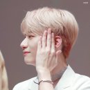 미화당 티스토리