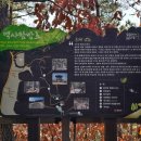 충의공 엄흥도 역사탐방로 이미지