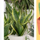 성균관대학교 유학대학원 이미지