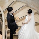 그루비오 | 본식 스냅 고르기 / 김태우포토 계약후기 / 그루비오 & 고즈바이스냅 비교 / 웨스틴조선 부산
