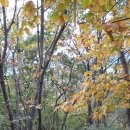 밀양고등학교 이미지