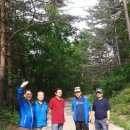 오투캐빈 Daum카페
