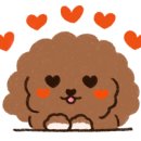 씨에이치디(주) 이미지