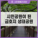 금호지 경관쉼터(소망교) | 금호지 생태공원, 품격 있는 시민공원으로 환골탈태