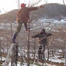 더좋은과수원