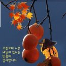 &#34;수원 &#39;화성&#39;(華城)의 &#39;장안문&#39;(長安門) 등을 찾아서&#34;＜2024.11.19(화)＞ 이미지