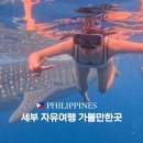 세부 자유여행 가볼만한곳 오션파크, 오모팩 고래상어 투어 후기
