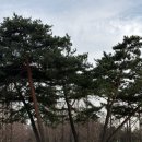 커피온더레일 이미지