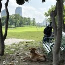 일루와농장 이미지