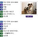 청조동물병원 이미지