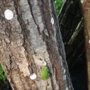 서면농장 이미지