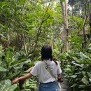 27200-가-40 | 롬복 아이와 가볼만한 곳 | 와일드라이프파크