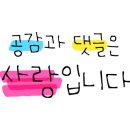 원문손칼국수;한치회