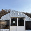 서울근교애견운동장 제이그라운드 청계 강아지운동장 대여 후기!