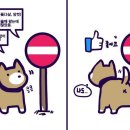 랑 이미지