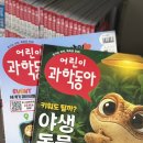 동아사 | 동아사이언스 초등학생이 사용하기 좋은 학습용 AI, 과학동아AiR 사용 후기