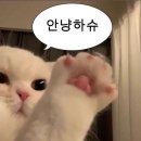 제이카페 이미지
