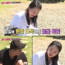 브루노