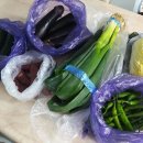 신선채소 이미지