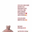 보드레핏 이미지