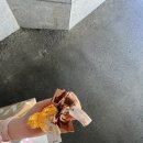 순천몰 | [잠실롯데월드몰] 내돈내산 “ 한정선 ” 후기 ◡̈
