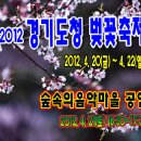 숲속의음악마을