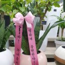 신세대뱅크플라워