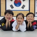 하남 무림합기도 이미지