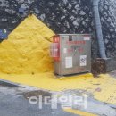 옐로카펫 이미지