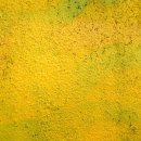 제주동물병원 이미지