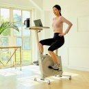 피치PC | 접이식 자전거 칼로리 소모 끝판왕! 래피즈 테이블형 원더 피치 미니 3개월 사용 후기