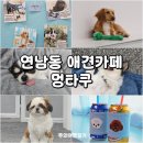 멍타쿠 | 연남동 실내데이트 홍대 애견카페 멍타쿠