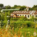 팜카밀레 이미지