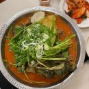 11500-21-94-101 다이닝코드