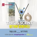더블유인터내셔널 | [공지] [이웃후기문화x피앤더블유인터네셔널] 디스이즈 명화 디퓨저~ 아시나요?